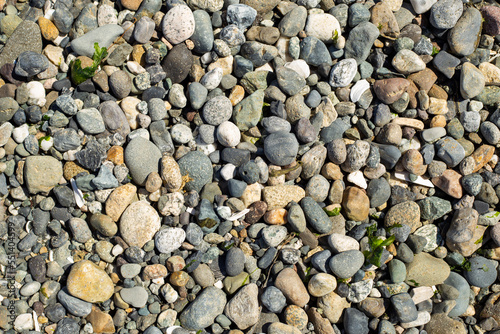Rocks and Pebbles Texture / Pattern
