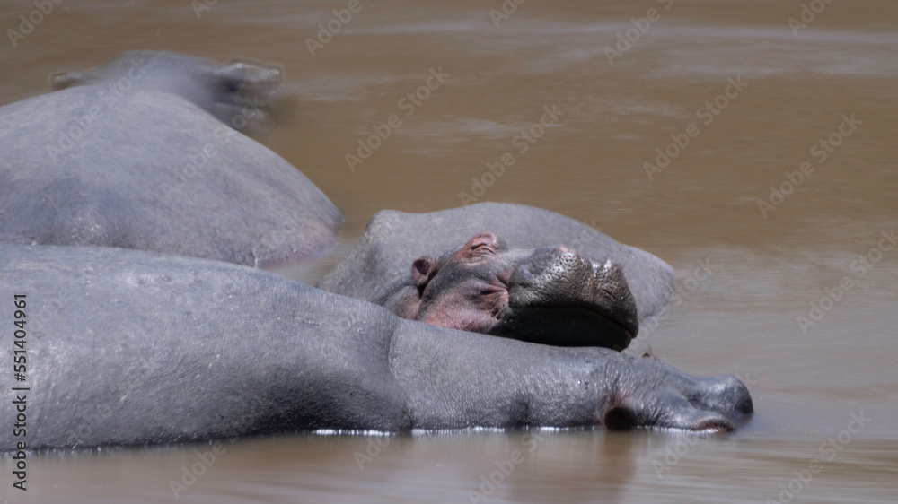 Fototapeta premium Break time