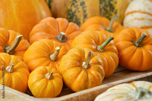 Several small pumpkins in a wooden crate on a wooden board.