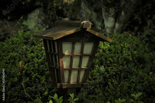 fotos de paisagens de vida animal de Poços de Caldas Minas gerais Das motanhas de minas