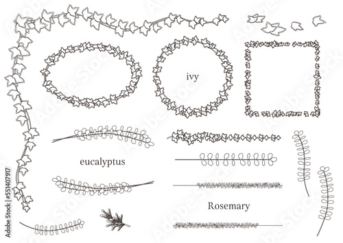 葉っぱのイラストのフレームセット（ベクター、白黒、アイビー、ユーカリ、ローズマリー）