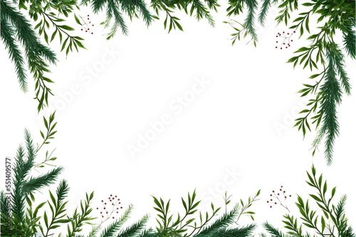christmas holly fir branch frame border with transparent background  © Hamburn