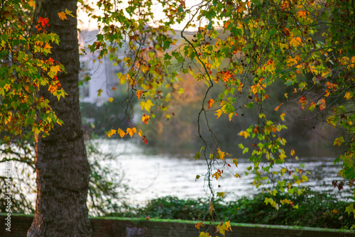 autumn in the park