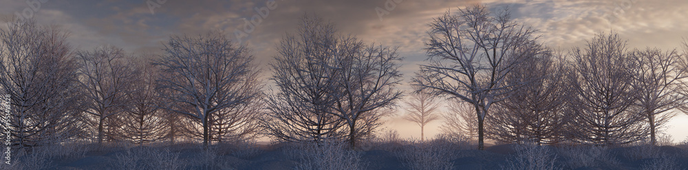 Seasonal Background with Snow covered Trees in a Pale Mist. Beautiful Winter Woodland Banner. Seasonal Background with Snow covered Trees in a Pale Mist. Beautiful Winter Woodland Banner.