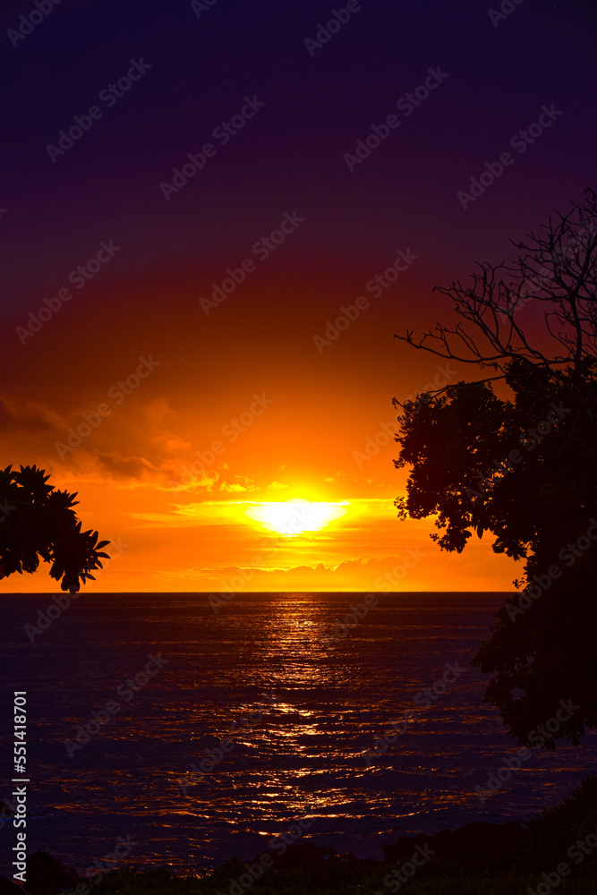 dramatic romantic sunset with tree silhouettes