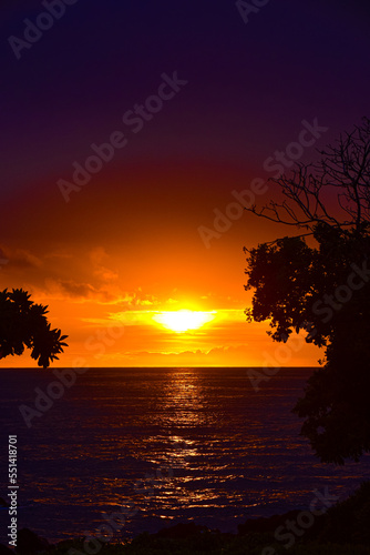 dramatic romantic sunset with tree silhouettes