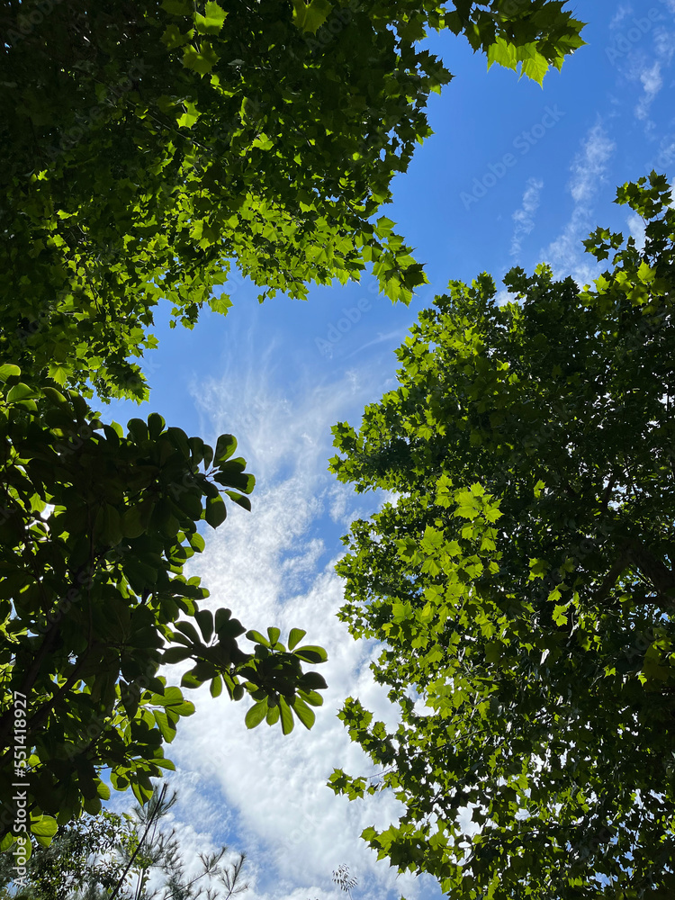 Fototapeta premium Seoul, South Korea