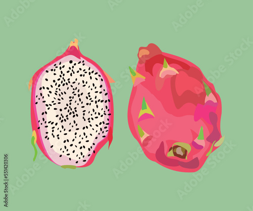 guyute dragon fruit vector illustration