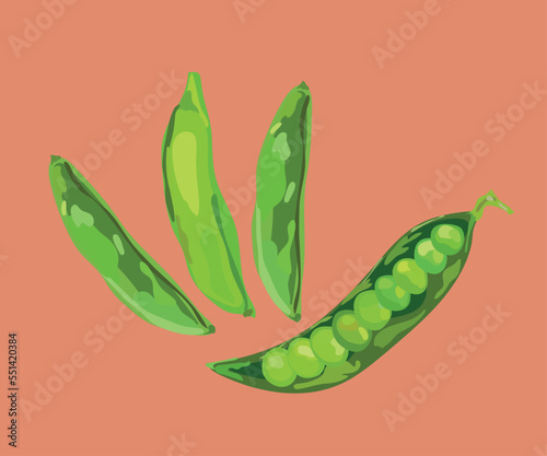 peas vector illustration