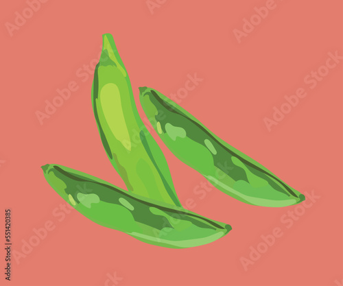 peruvian peas vector illustration