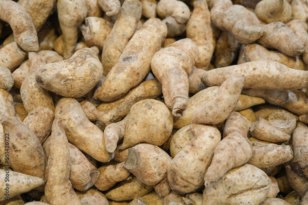 fresh sweet potato in pile as food background fresh sweet potato in pile as food background