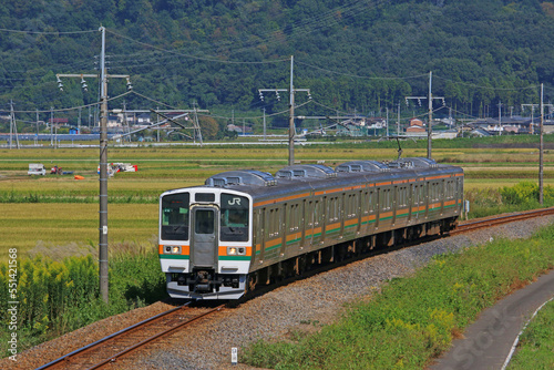 大平下～岩舟間を走行する列車