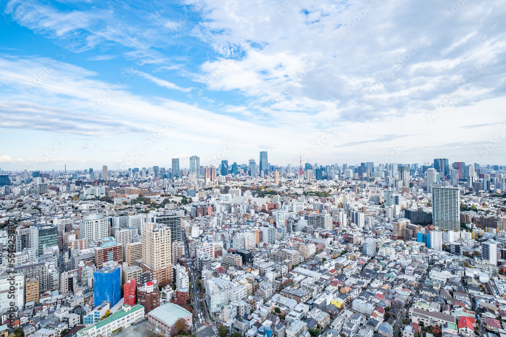 Fototapeta premium 日本の首都東京の都市風景