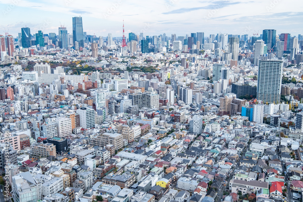 Fototapeta premium 日本の首都東京の都市風景