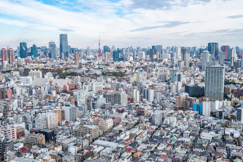 Obraz premium 日本の首都東京の都市風景