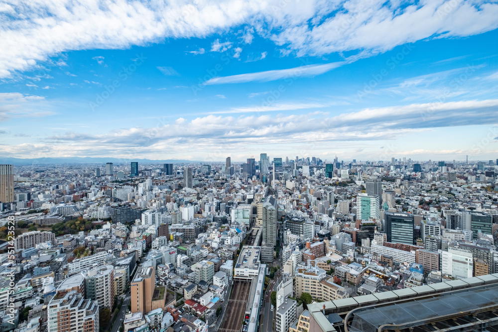 Obraz premium 日本の首都東京の都市風景
