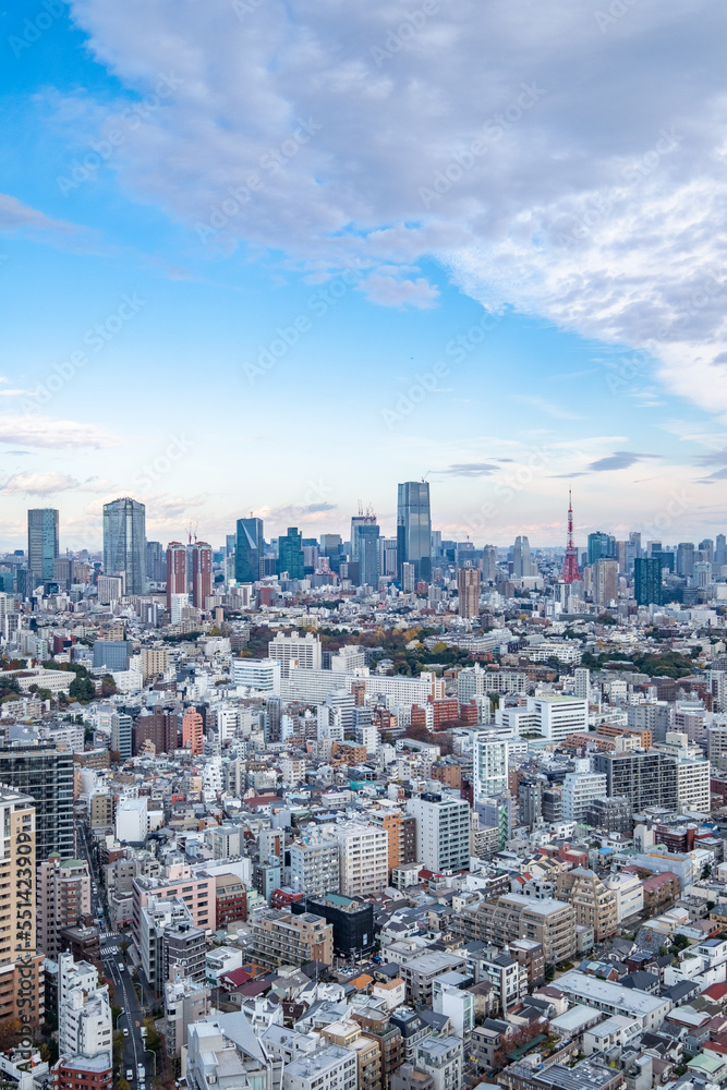 Obraz premium 日本の首都東京の都市風景