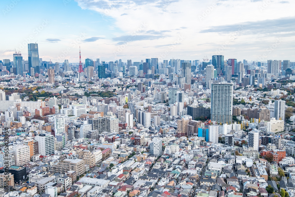 Fototapeta premium 日本の首都東京の都市風景