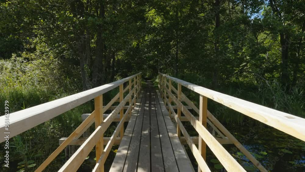 Passing through the wooden bridge in the forest with the trees on the side of the small pond in Estonia Passing through the wooden bridge in the forest with the trees on the side of the small pond in Estonia