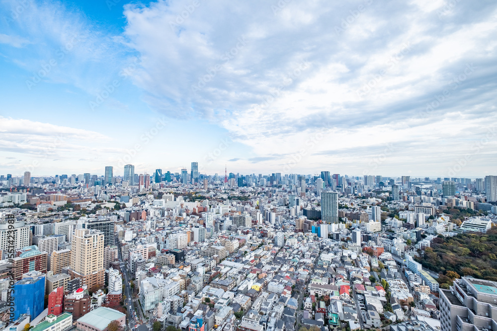 Fototapeta premium 日本の首都東京の都市風景