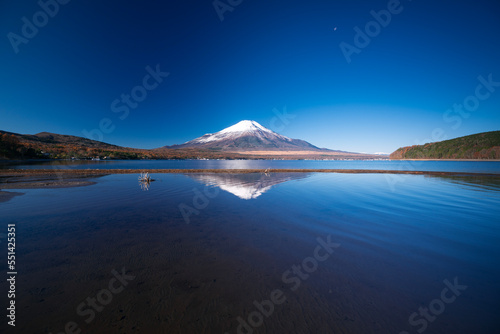 秋の山中湖の湖畔に冠雪した富士山