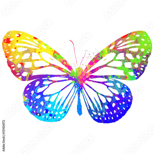 Watercolor Butterfly, Abstract Butterfly, Colorful Butterfly, Butterfly Illustration, Butterfly Drawing, Butterfly, Art  © Shakib726