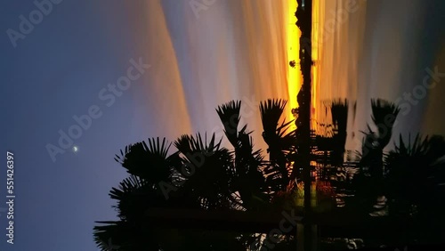 Palm tree silhouettes at sunset in Bali island 