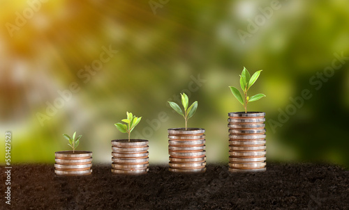 Concept, goal, plan banking finance business and investment saving pile of coins growing with savings concept plants that grow on coins savings and investment balance