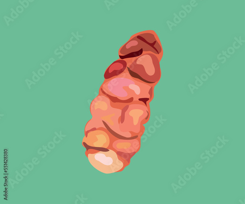 red peruvian oca illustration