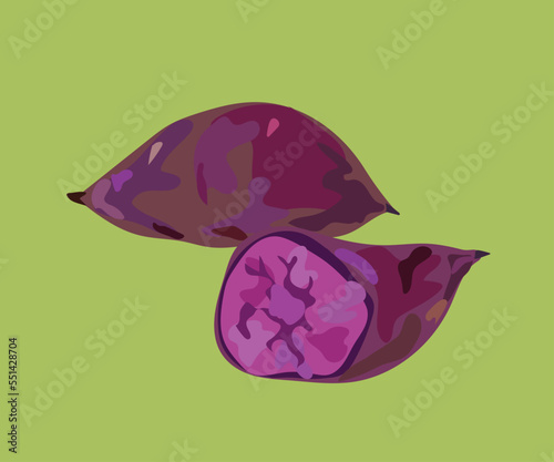 purple sweet potato vector illustration