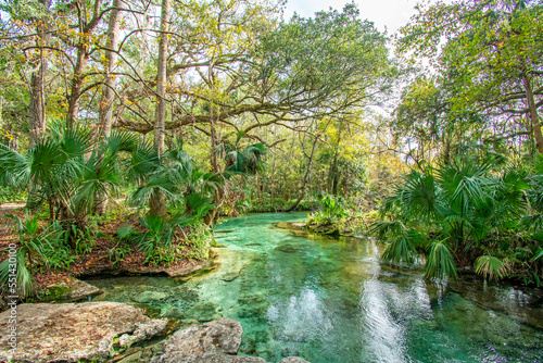 Natural freshwater spring at Kelly Rock Springs Park in Apopka, Florida just north of Orlando.	