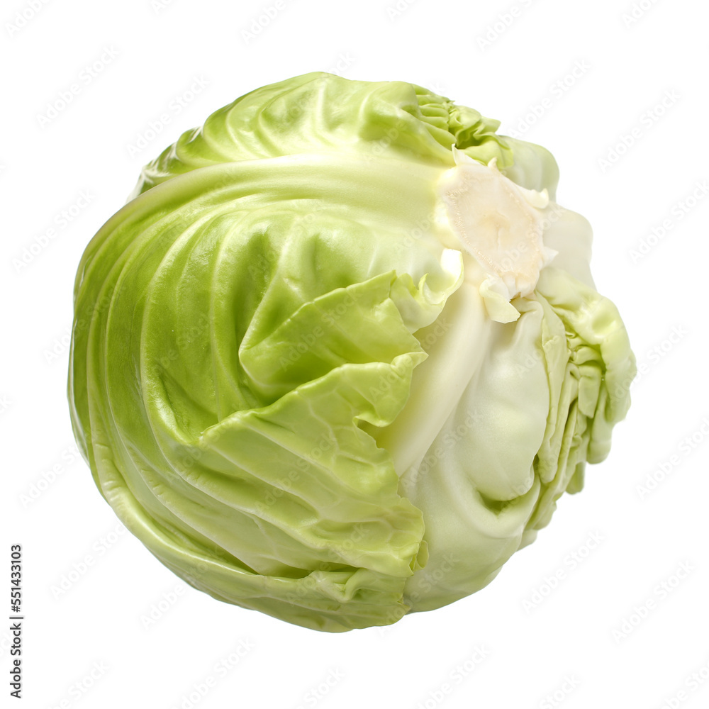 cabbage on a white background cabbage on a white background