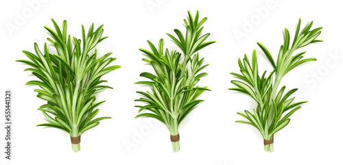 Rosemary herb bunches, isolated garden plant stems with green leaves tied with rope on white background. Organic seasoning, spice, fresh cooking condiment tufts, Realistic 3d vector illustration, set