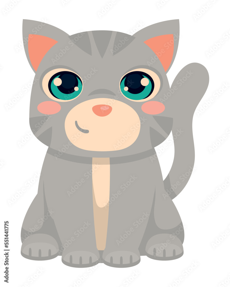 Obraz premium cat cute animal