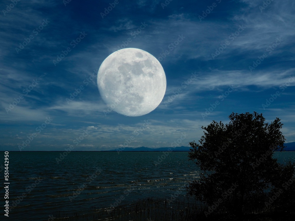 moon over sea moon over sea