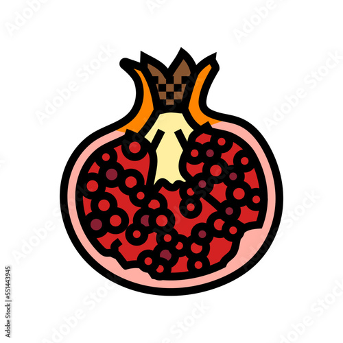 cut pomegranate color icon vector. cut pomegranate sign. isolated symbol illustration