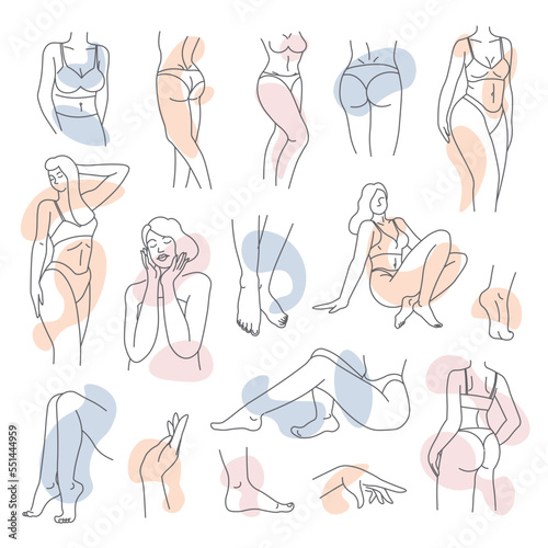 Female body line art, parts and femininity vector