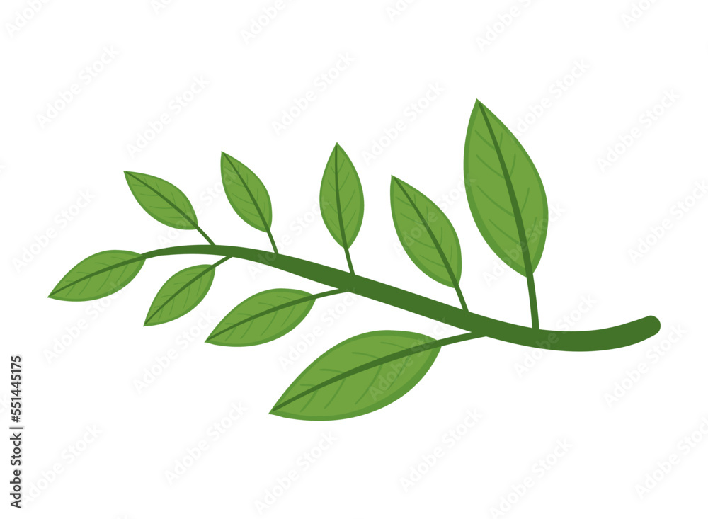 matcha leaves icon