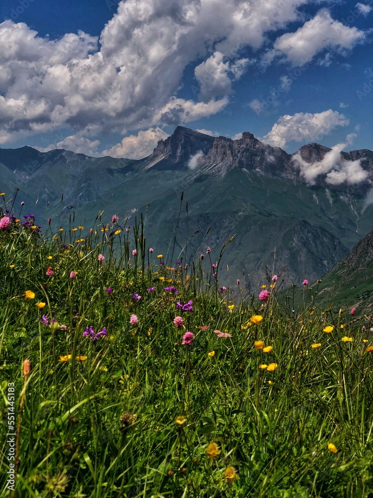 Fototapeta premium landscape with sky