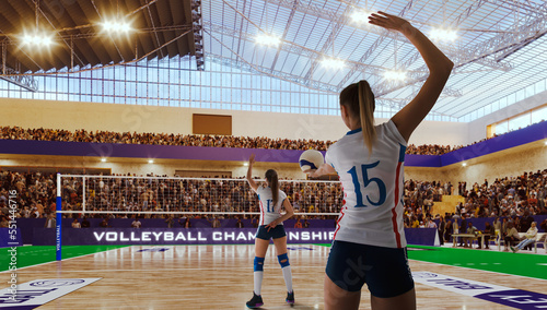 Female volleyball players in action on professional stadium.
 photo