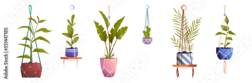 House plants in macrame hanging pots, isolated of flowers in rope hangers. Green planters in handmade holders for home interior decoration on white background, Cartoon vector illustration, icons set