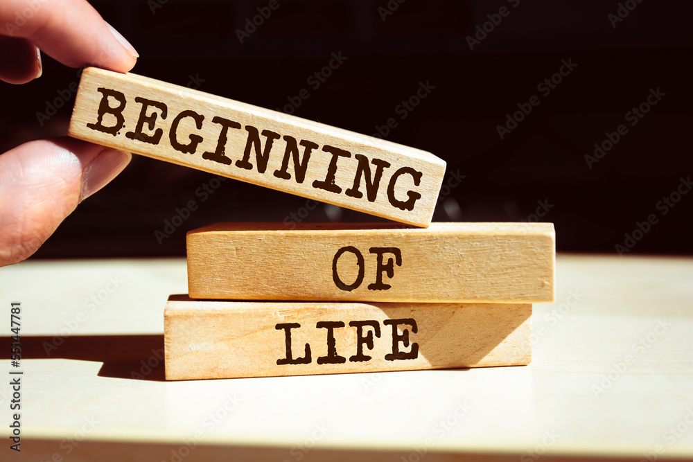 Wooden blocks with words 'Beginning of Life'. Wooden blocks with words 'Beginning of Life'.