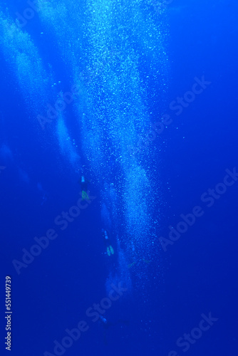 Divers waiting at the safety stop. Underwater bubbles, water bubbles. Safety stop while diving. Red Sea, Egypt.