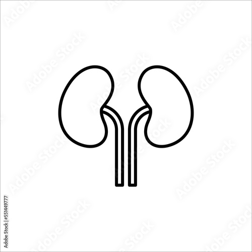 kidneys icon. outline icon