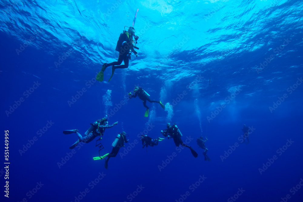Divers waiting at the safety stop. Underwater bubbles, water bubbles. Safety stop while diving. Red Sea, Egypt. Divers waiting at the safety stop. Underwater bubbles, water bubbles. Safety stop while diving. Red Sea, Egypt.