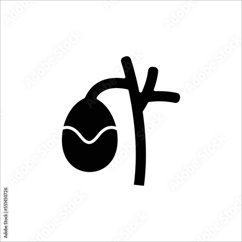 gallbladder icon. solid icon