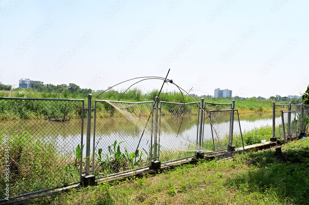 Fish traps fishermen's fishing equipment placed in water between fresh green cabbage in a canal in Thailand. Fish traps fishermen's fishing equipment placed in water between fresh green cabbage in a canal in Thailand.