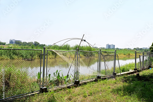 Fish traps fishermen's fishing equipment placed in water between fresh green cabbage in a canal in Thailand. © masterjew