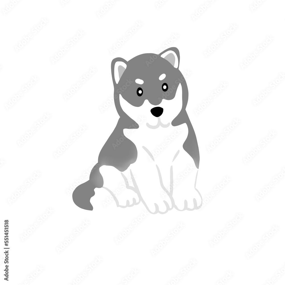 Siberian husky dog illustration Siberian husky dog illustration
