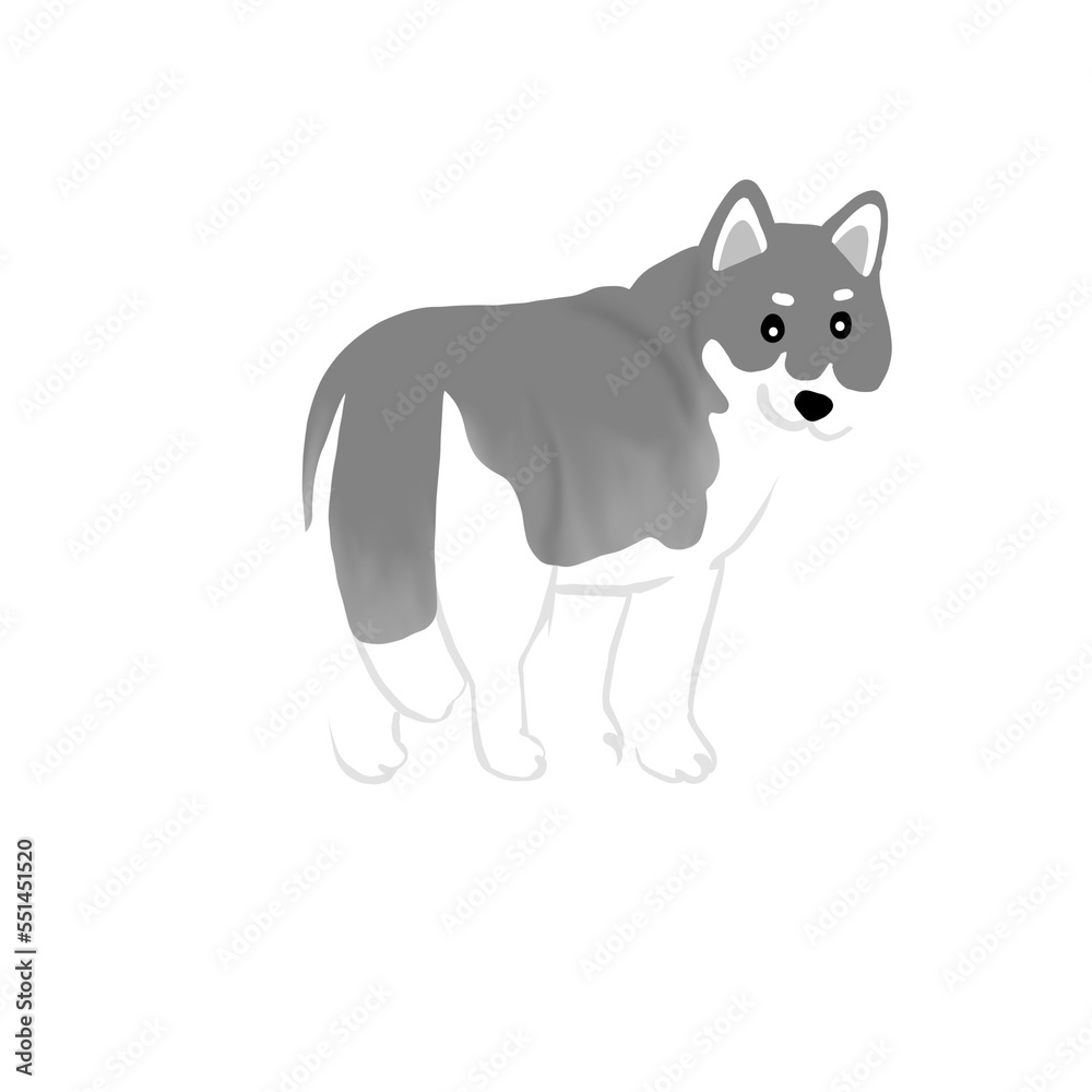 Fototapeta premium Siberian husky dog illustration